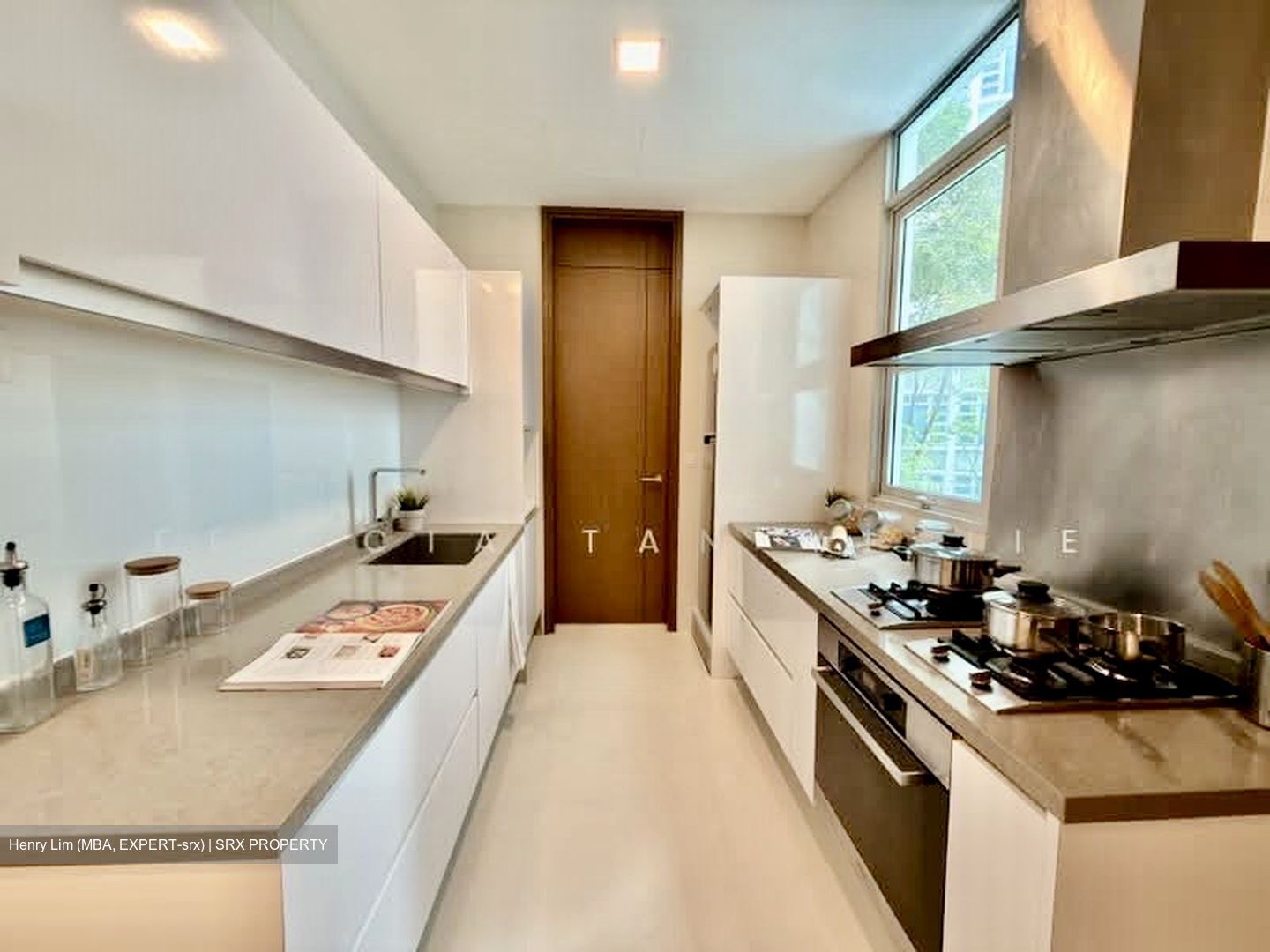 Emerald Hill Road (D9), Apartment #579042051